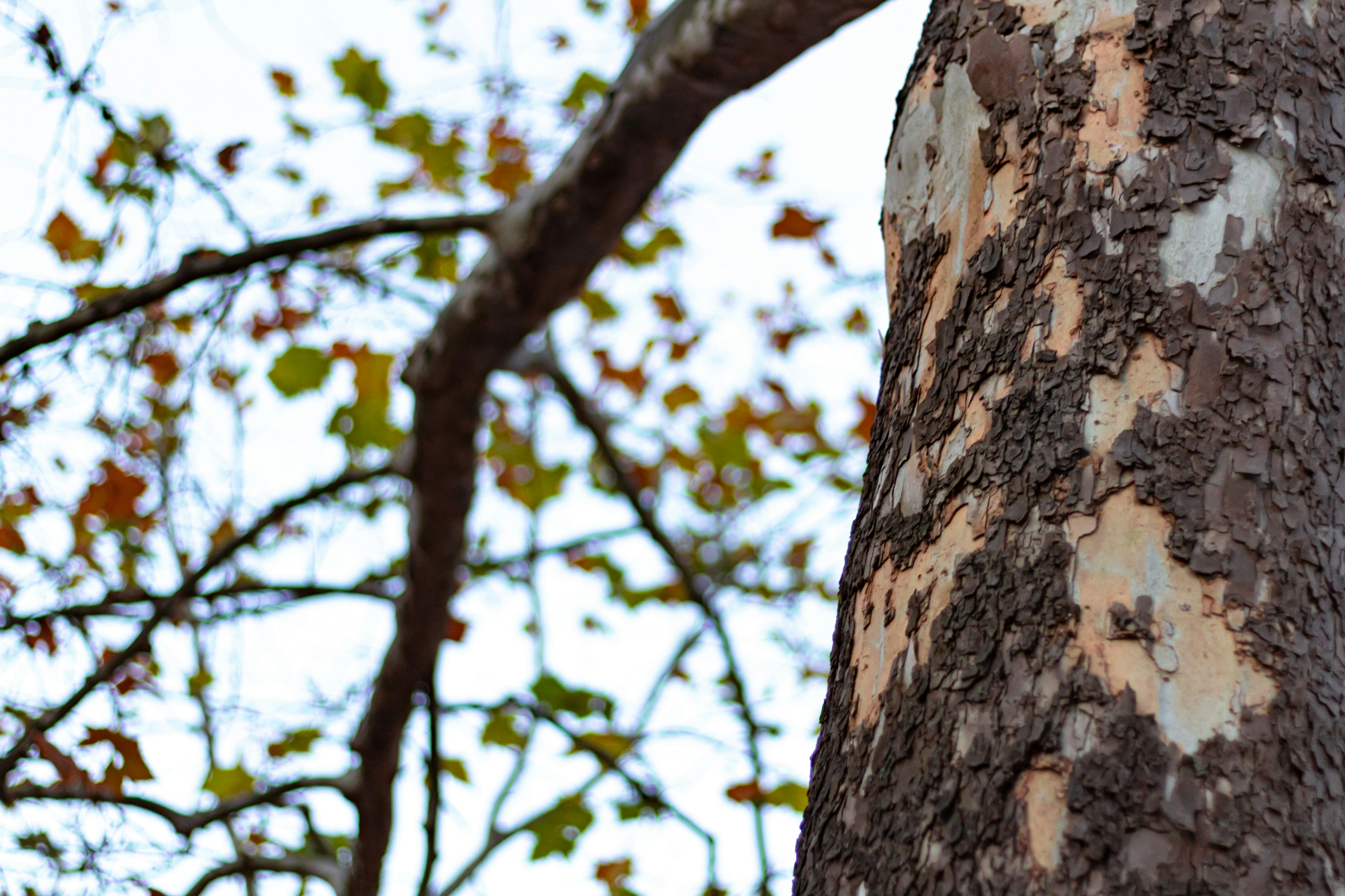 Photo by oliver_fetter