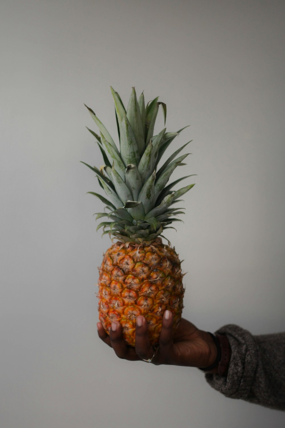 pineapple fruit