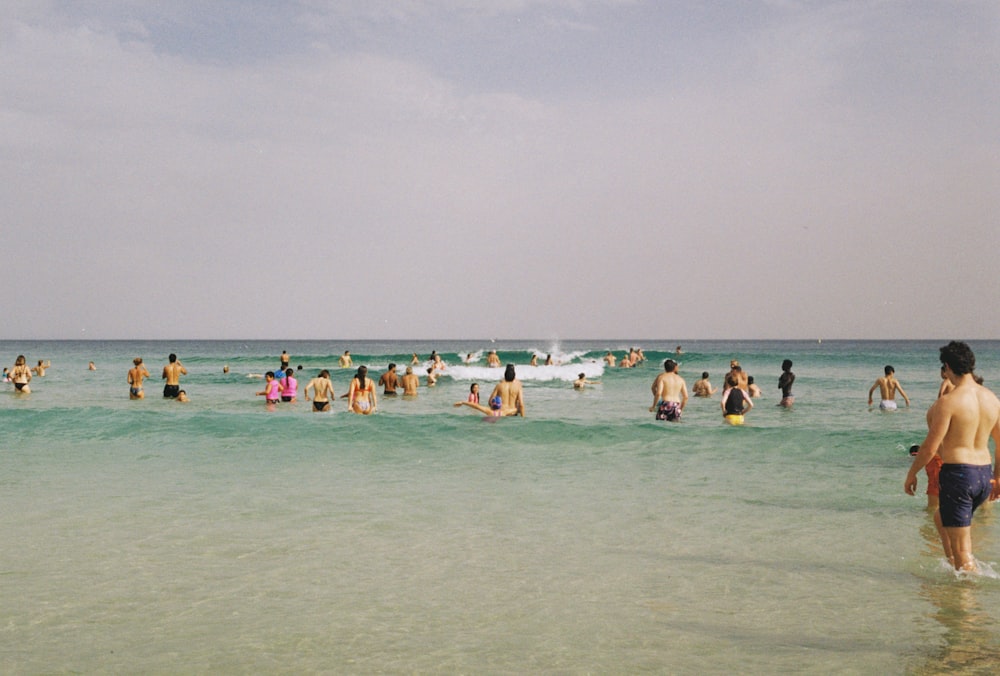 people swimming on beach