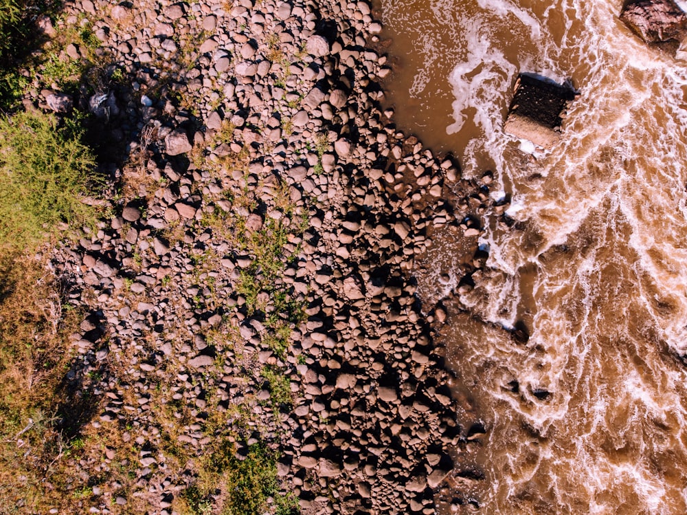 aerial photograph of river