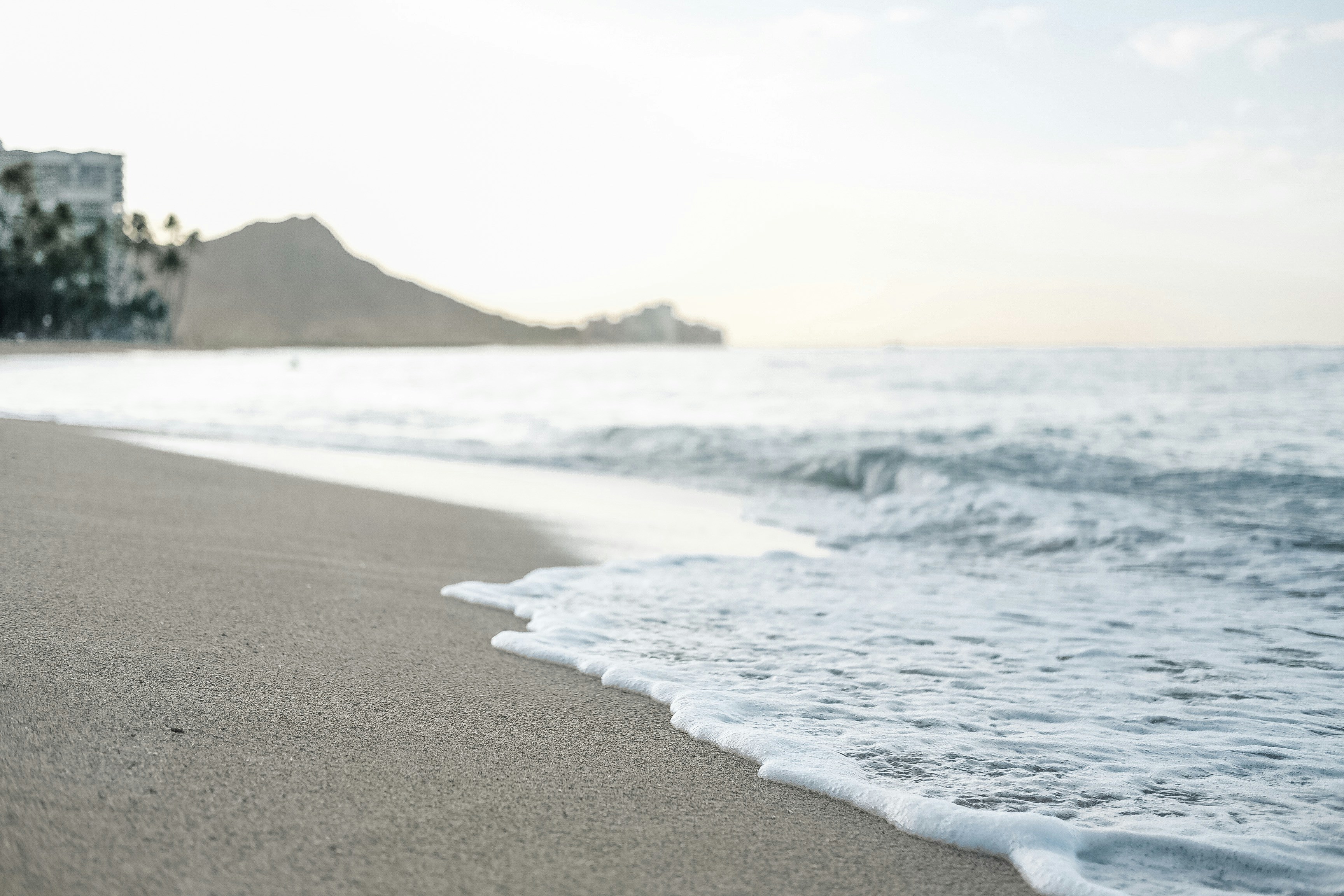 Waikiki Brewing Company - Waikiki