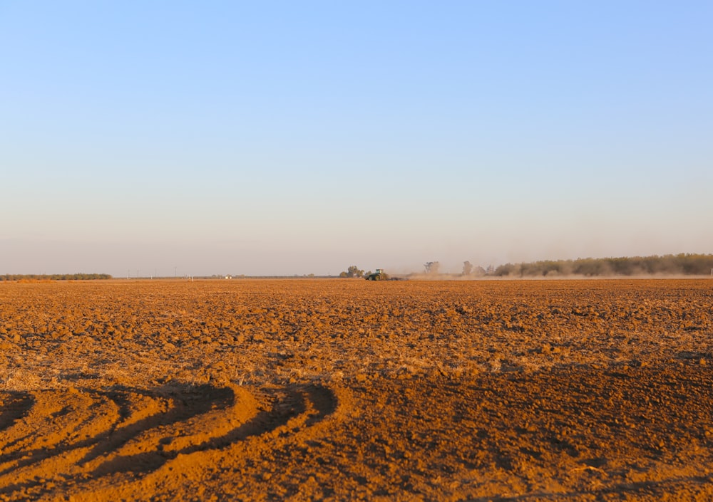 sand desert