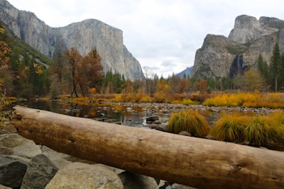 lake and mountainn scenery log teams background