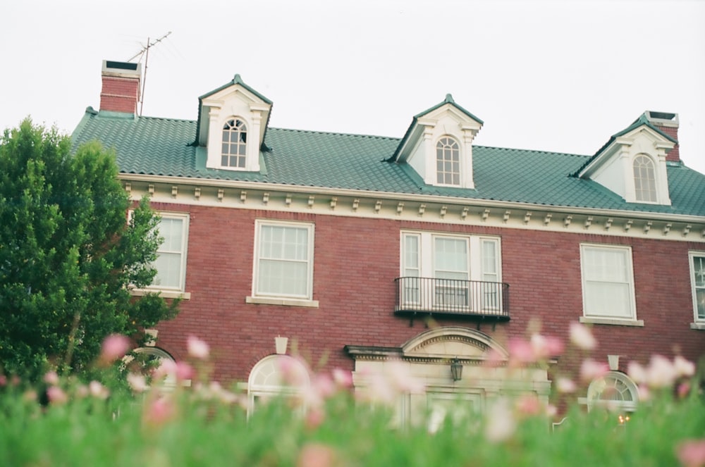 flower garden near house