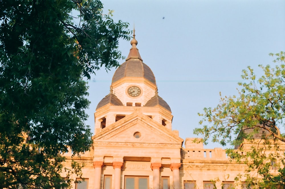 photo of beige cathedral