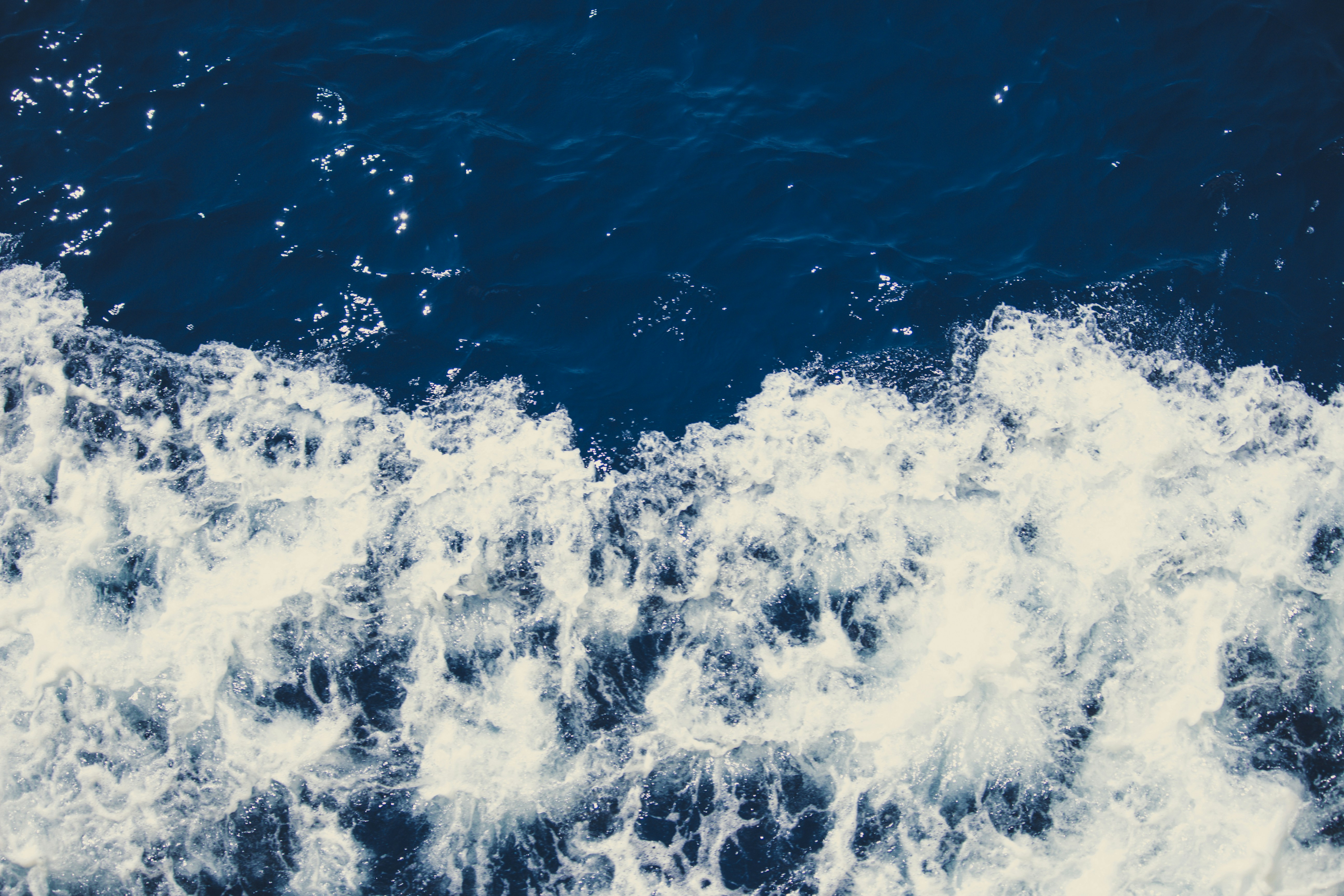 Photo by flowforfrank