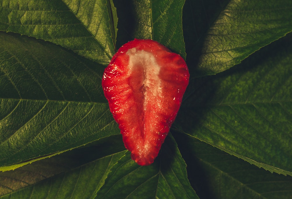 sliced of red strawberry on green leaf