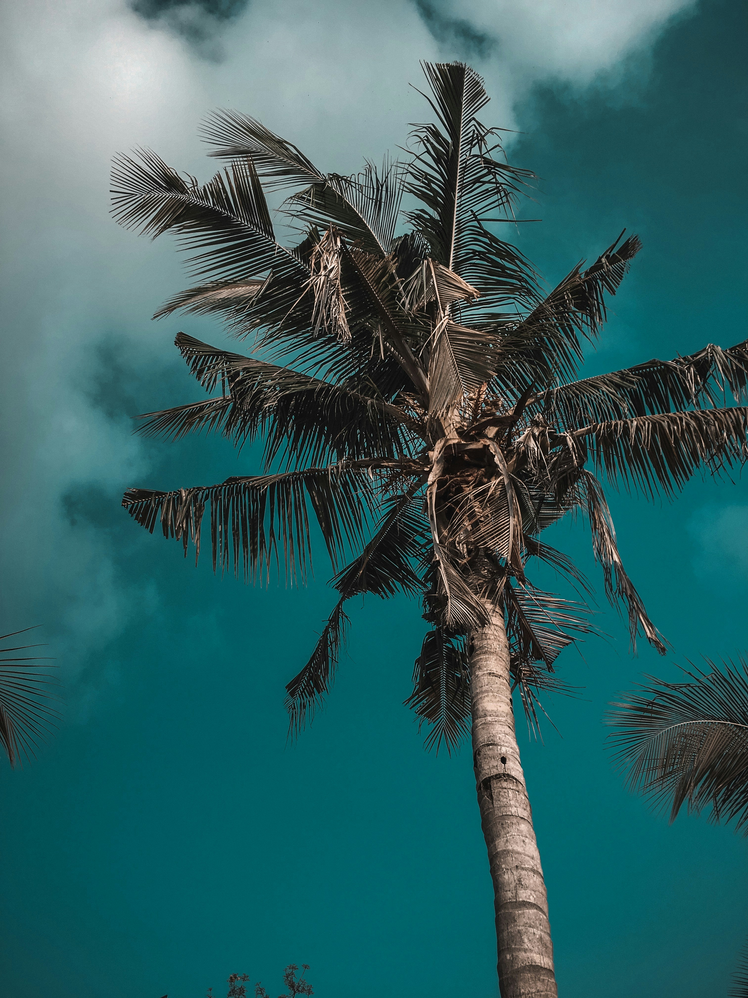 Photo by kendrewgrey