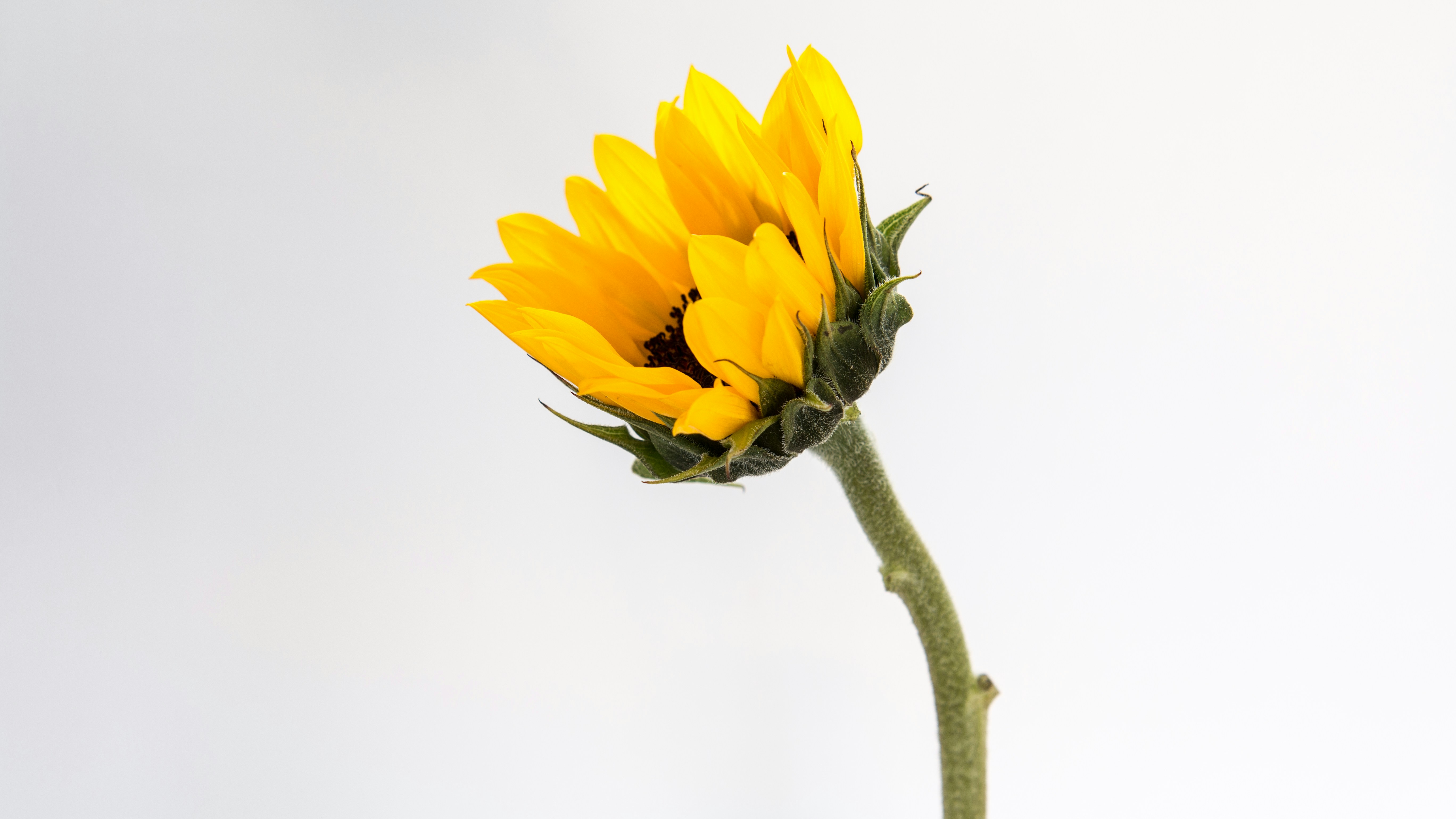 Photo by untitledphoto