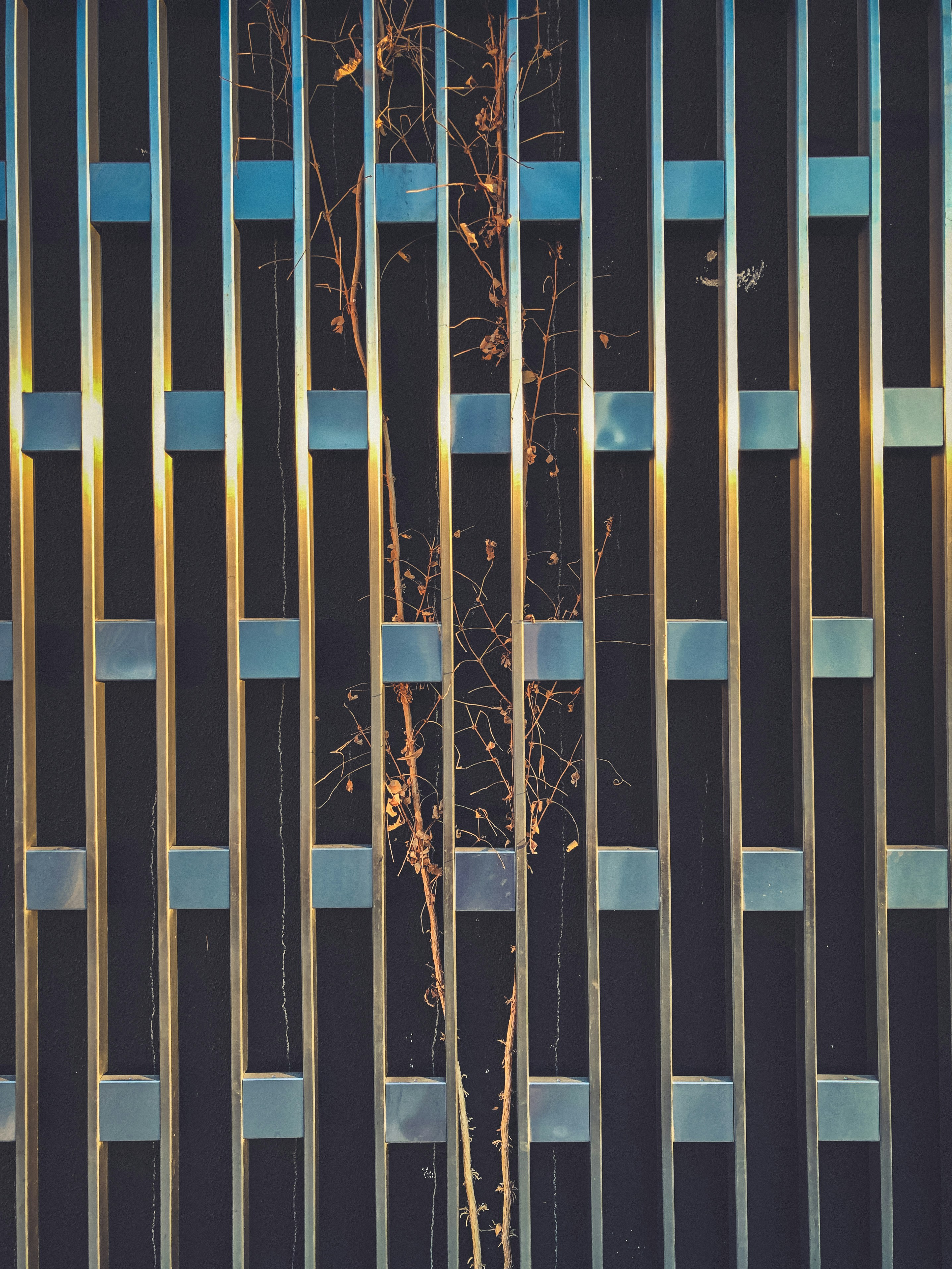 Photo by vladik_dragon