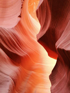 brown and red wallpaper