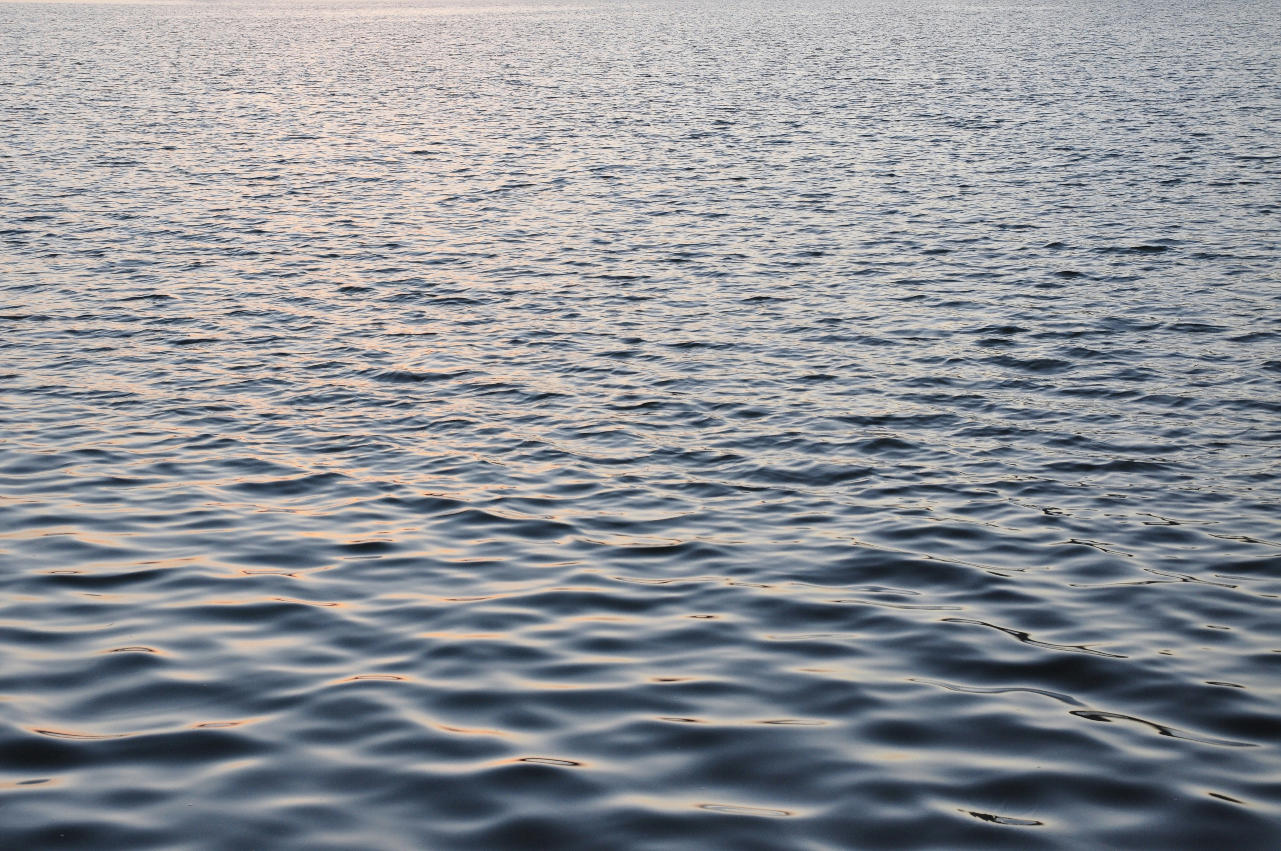 Photo by pallavichandra