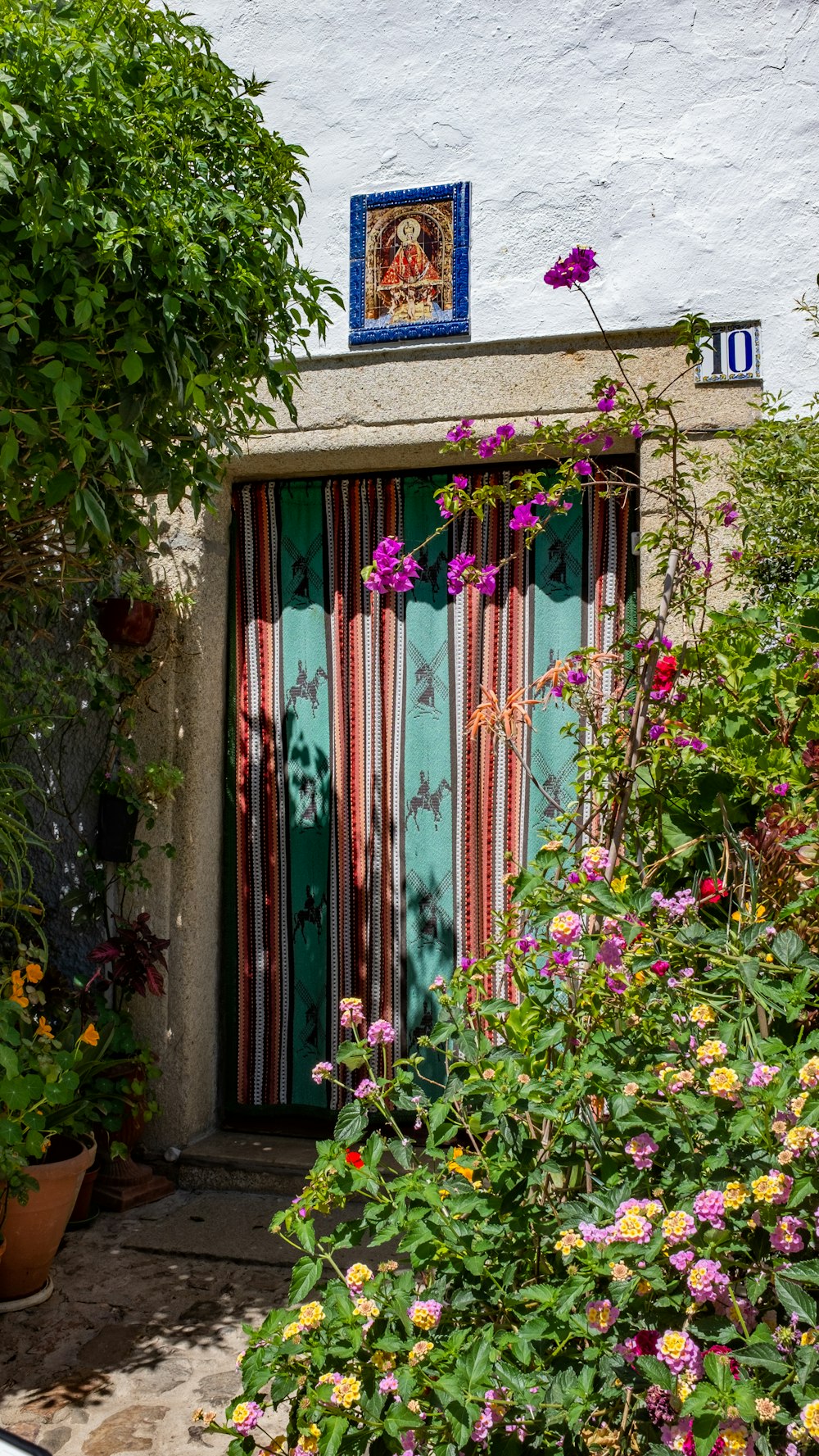 Plantes à côté de la porte