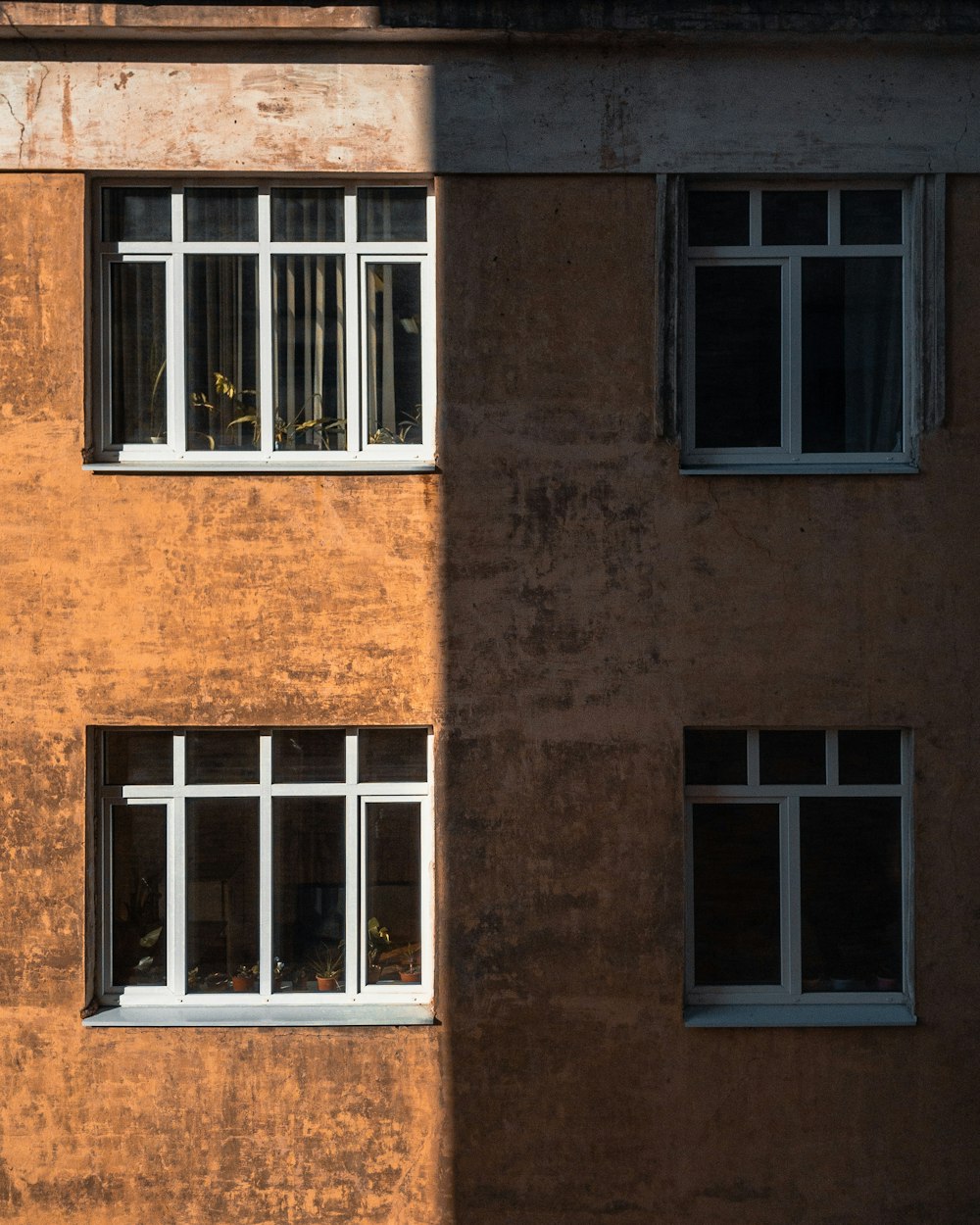 closed white wood-framed glass windows