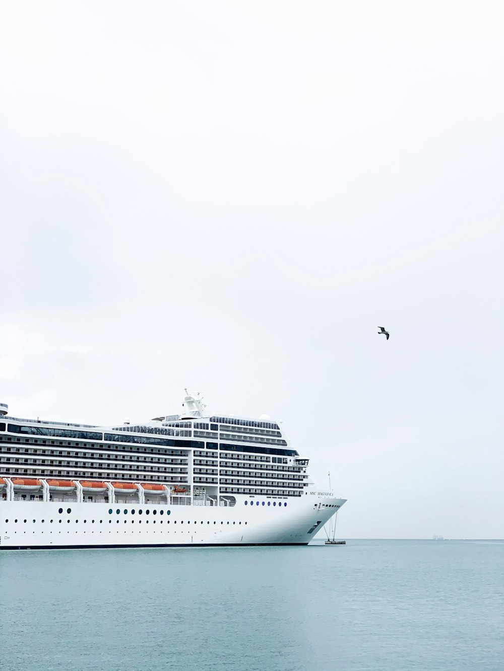 white cruiser ship on body of water during daytime