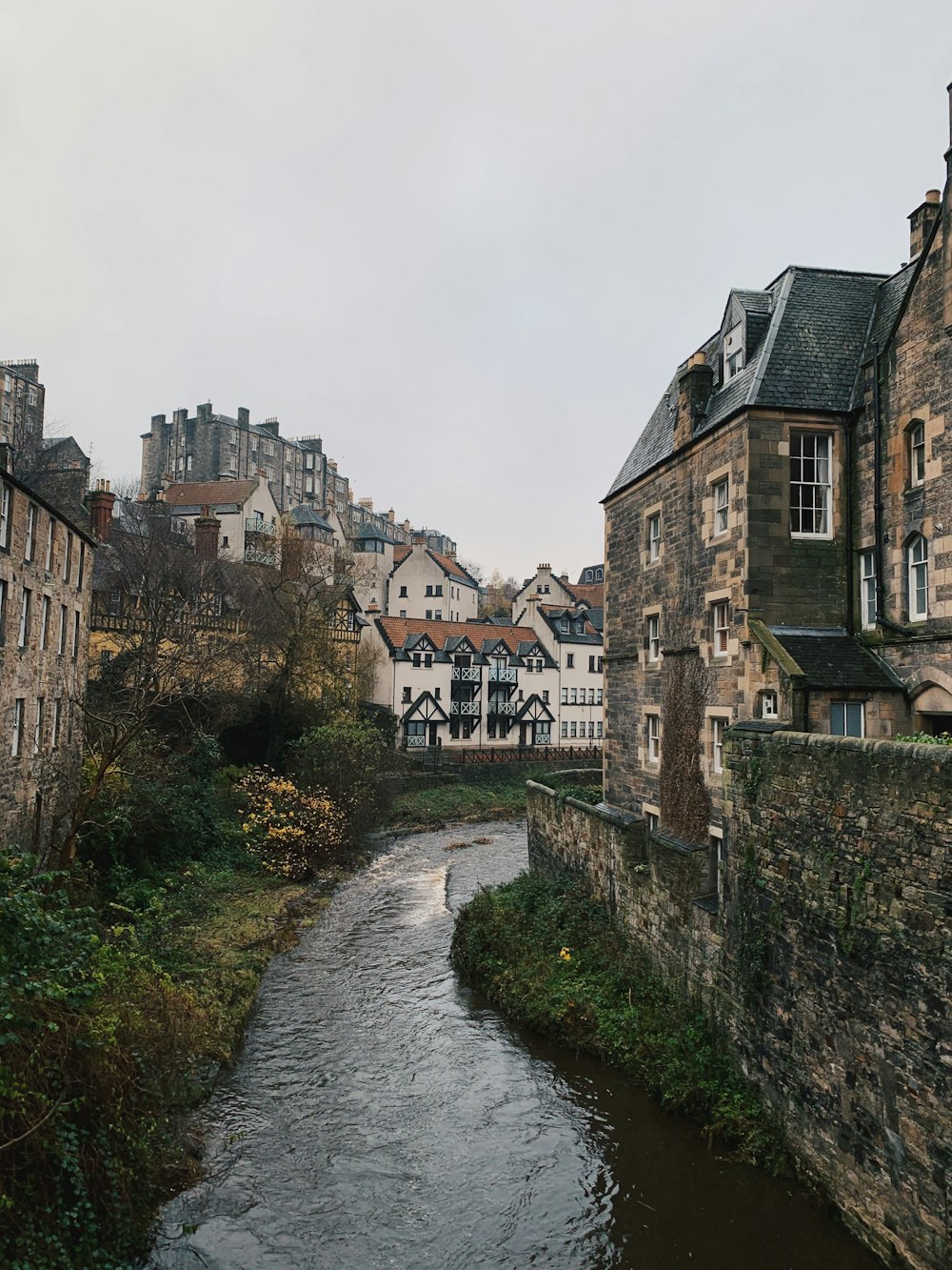 houses beside river