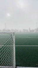 white goal net
