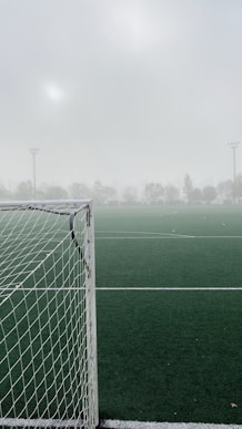 white goal net
