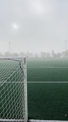 white goal net
