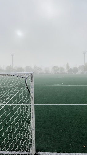 white goal net