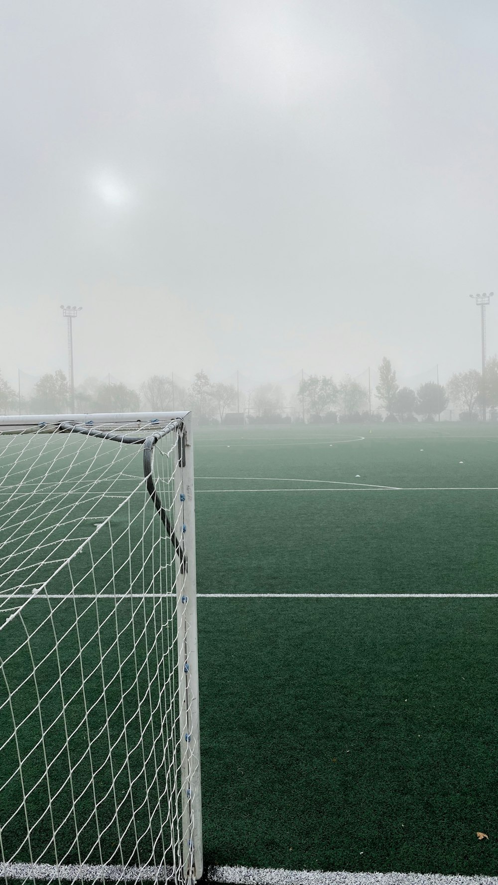 white goal net