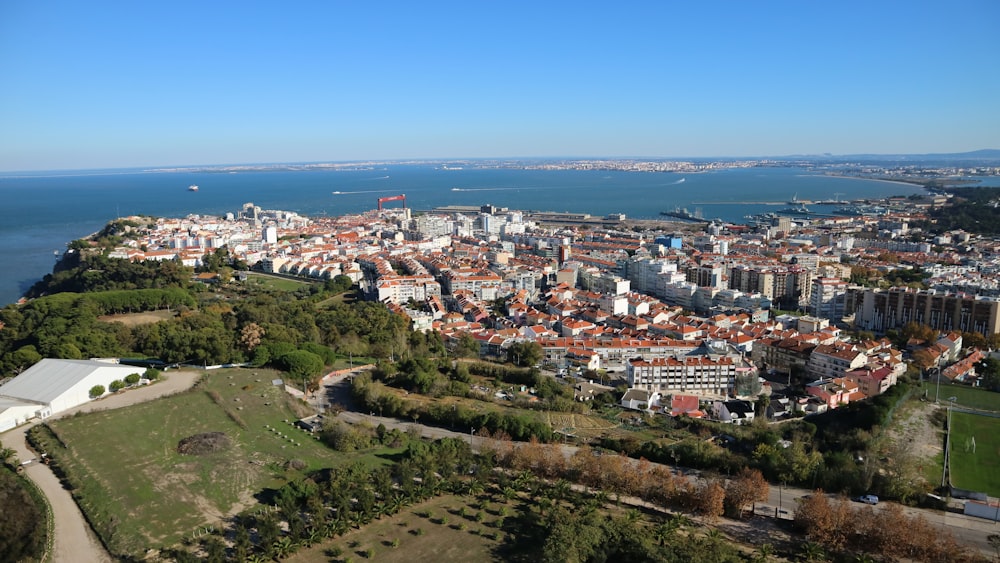 bird's-eye view photo of city