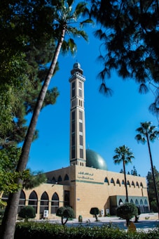 A mosque with a tall minaret and a green dome is surrounded by palm trees and other greenery. The mosque's architecture features a series of arched windows, and there are Arabic inscriptions on the front facade. The sky above is clear and blue.