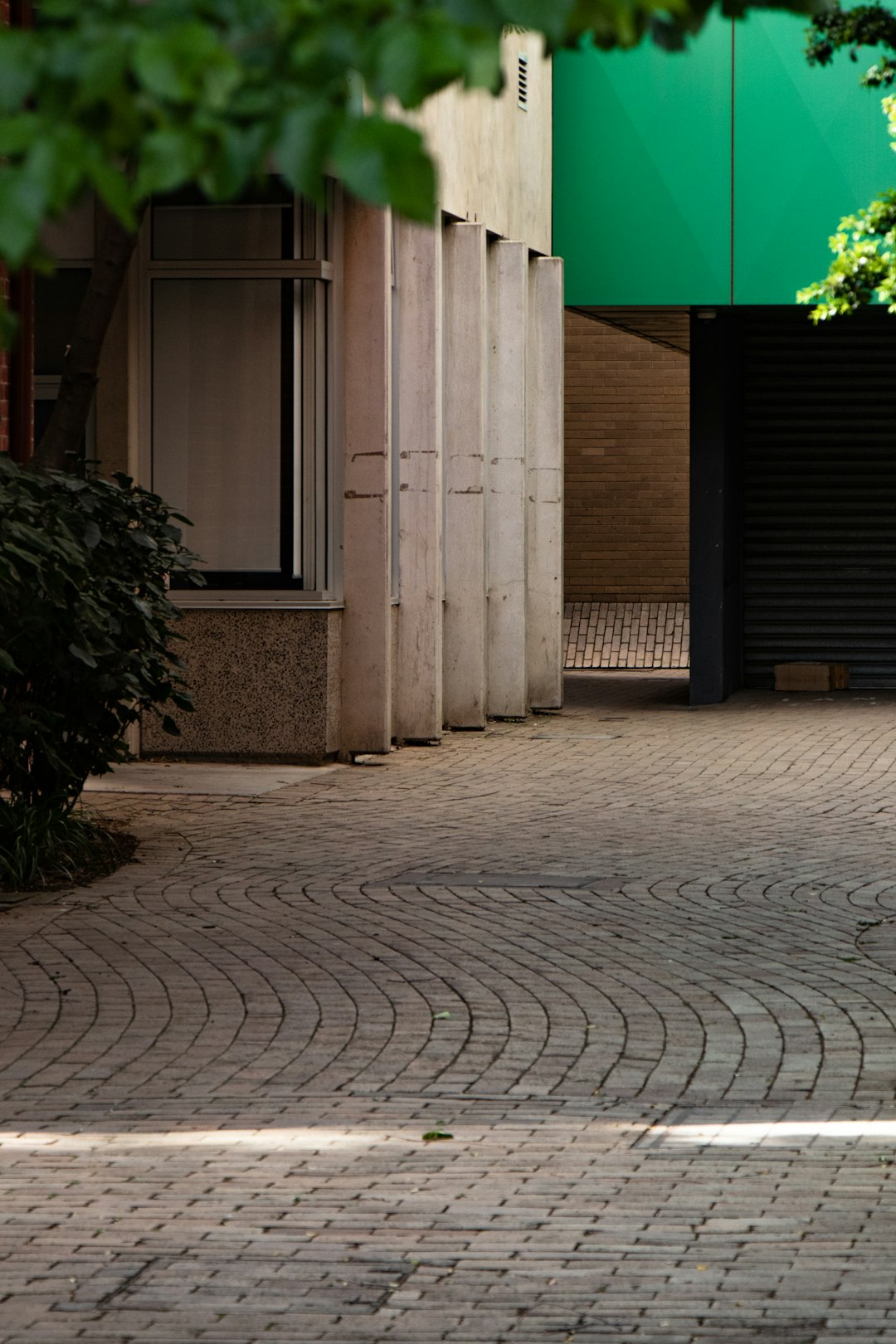 view photography of concrete pathway and buildings