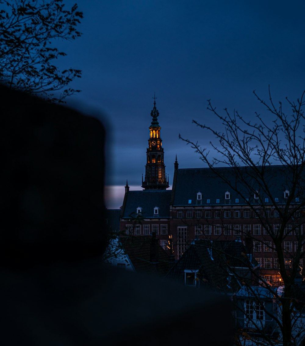 buildings during night