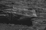 Underground imaging system display revealing hidden metal objects beneath the soil.