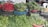 An assortment of fresh vegetables and greens are displayed in baskets and crates. The focal point includes vibrant red radishes and a variety of leafy greens, all set up on a makeshift stall made of stacked crates. A white plastic chair is visible in the background.