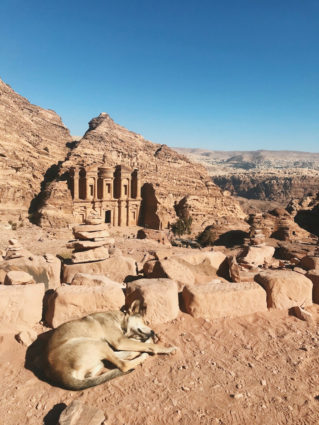 dog lying on sand near Petra, Egypt during day