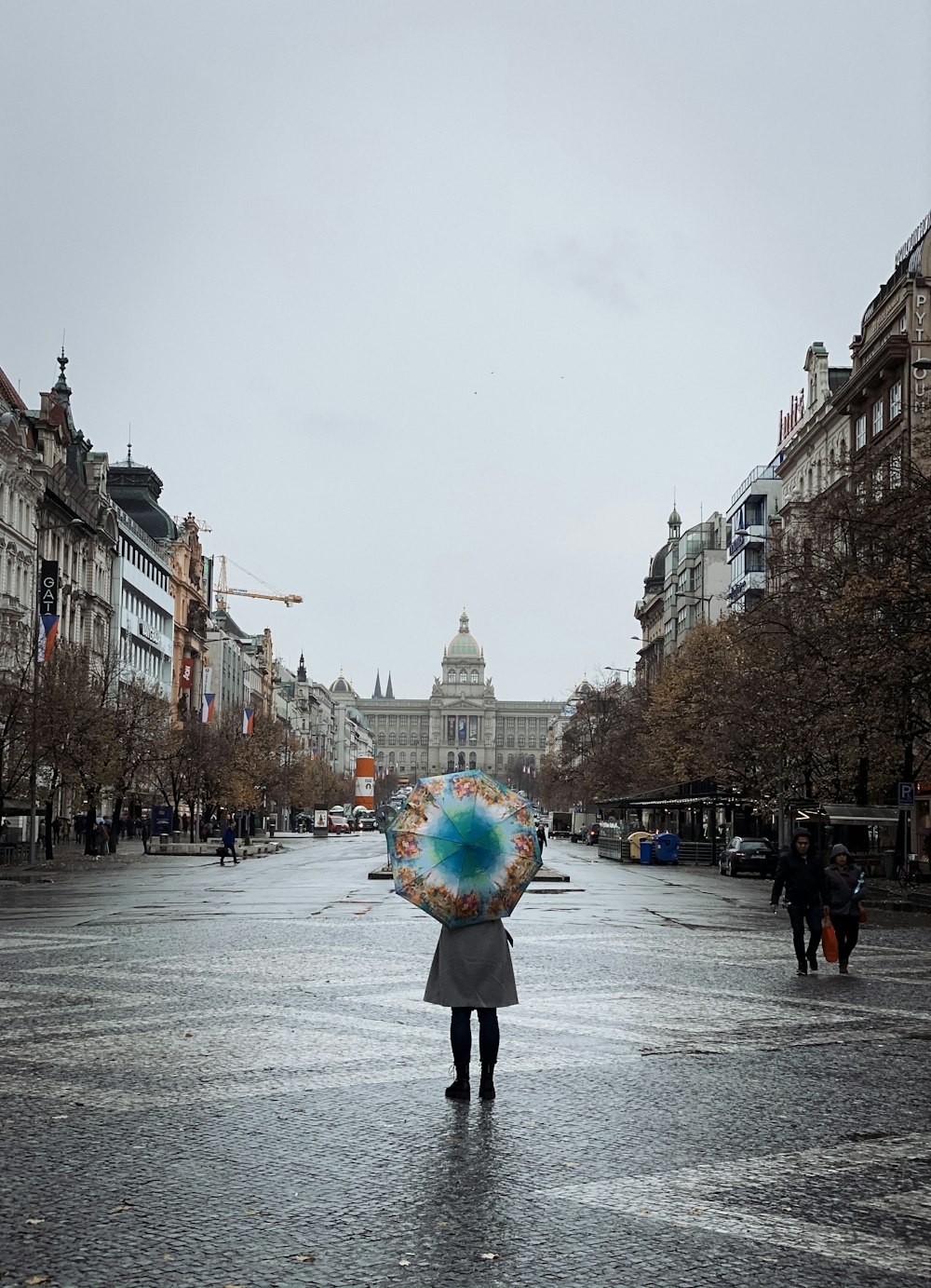 woman holding an umbrella