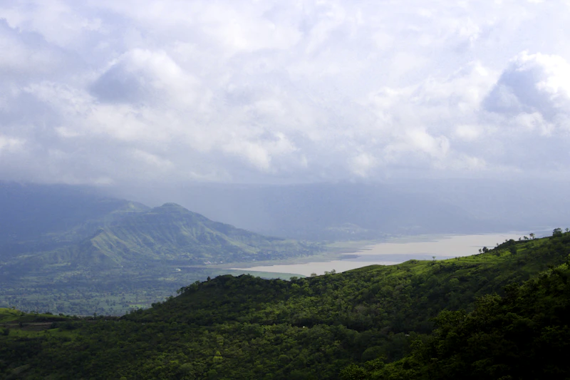 Best Vegetarian and Vegan Places in Mahabaleshwar Worth Visiting
