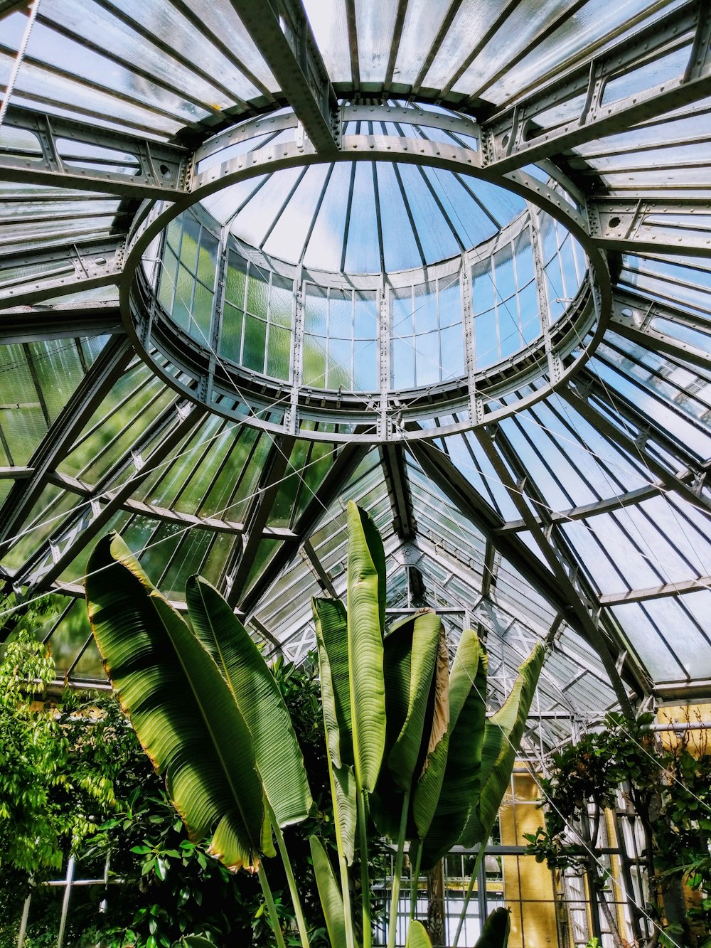 the inside of a glass house with plants inside