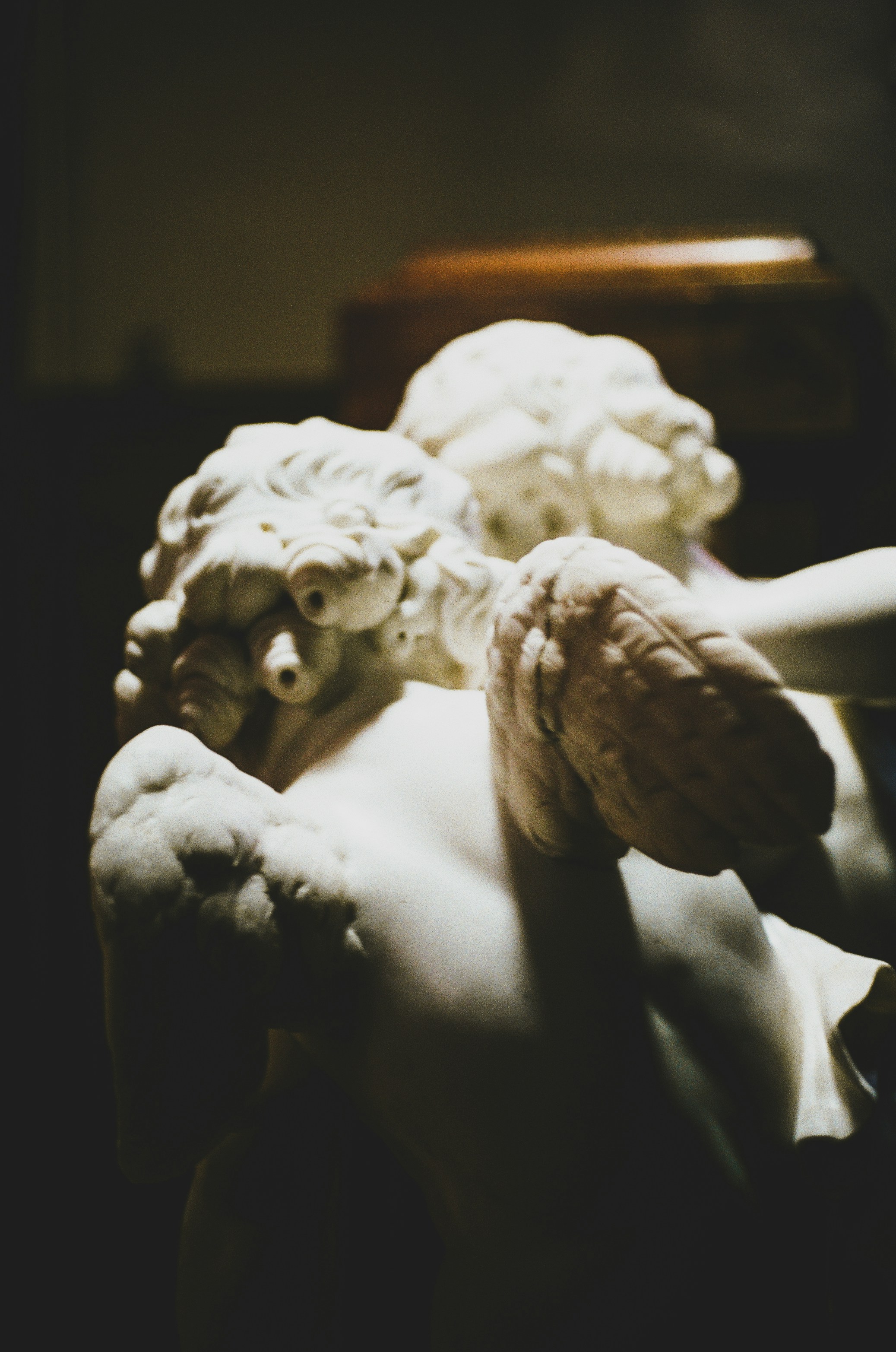 Photo by zelenagilochka