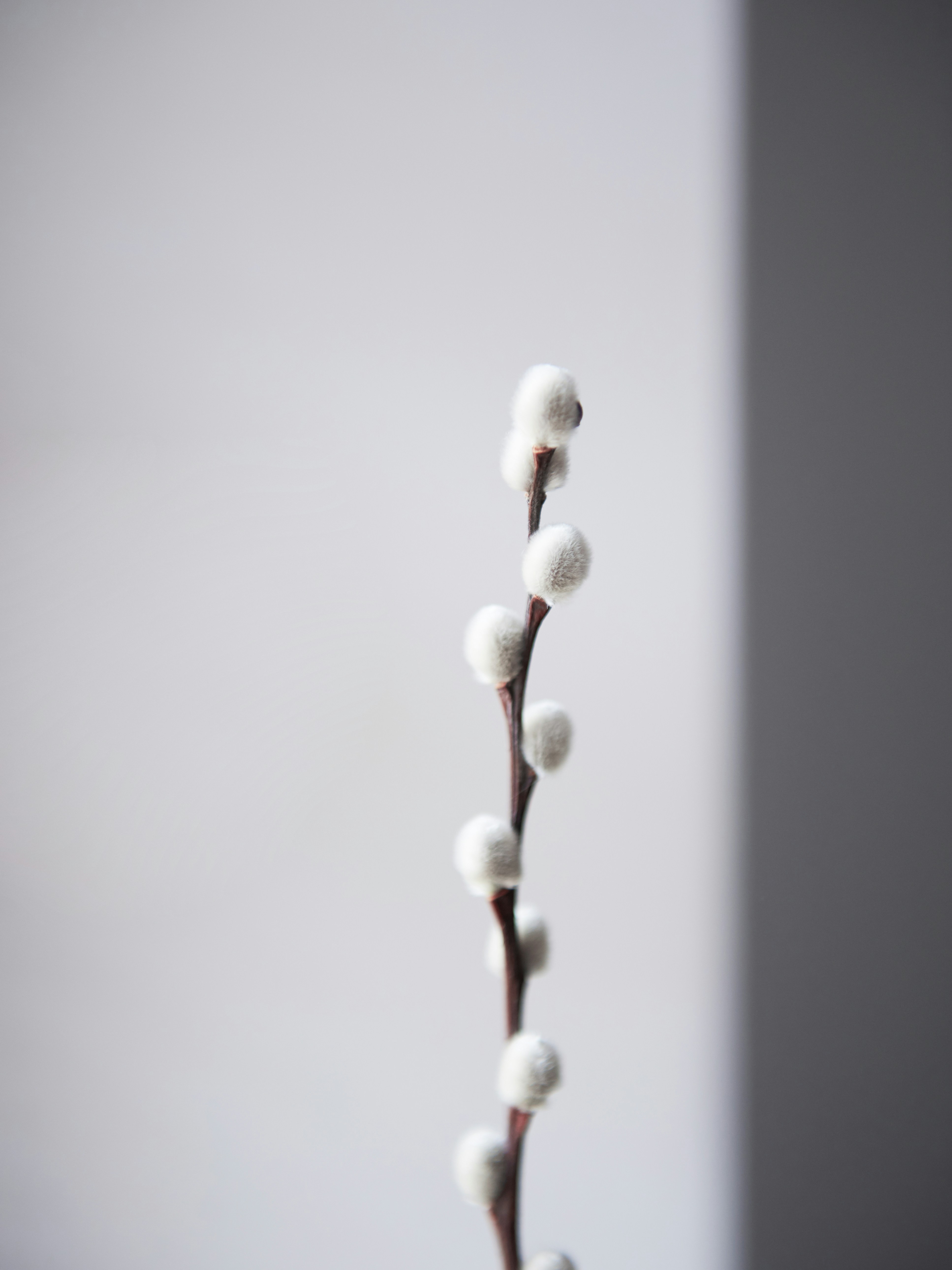 Photo by weronika_photography