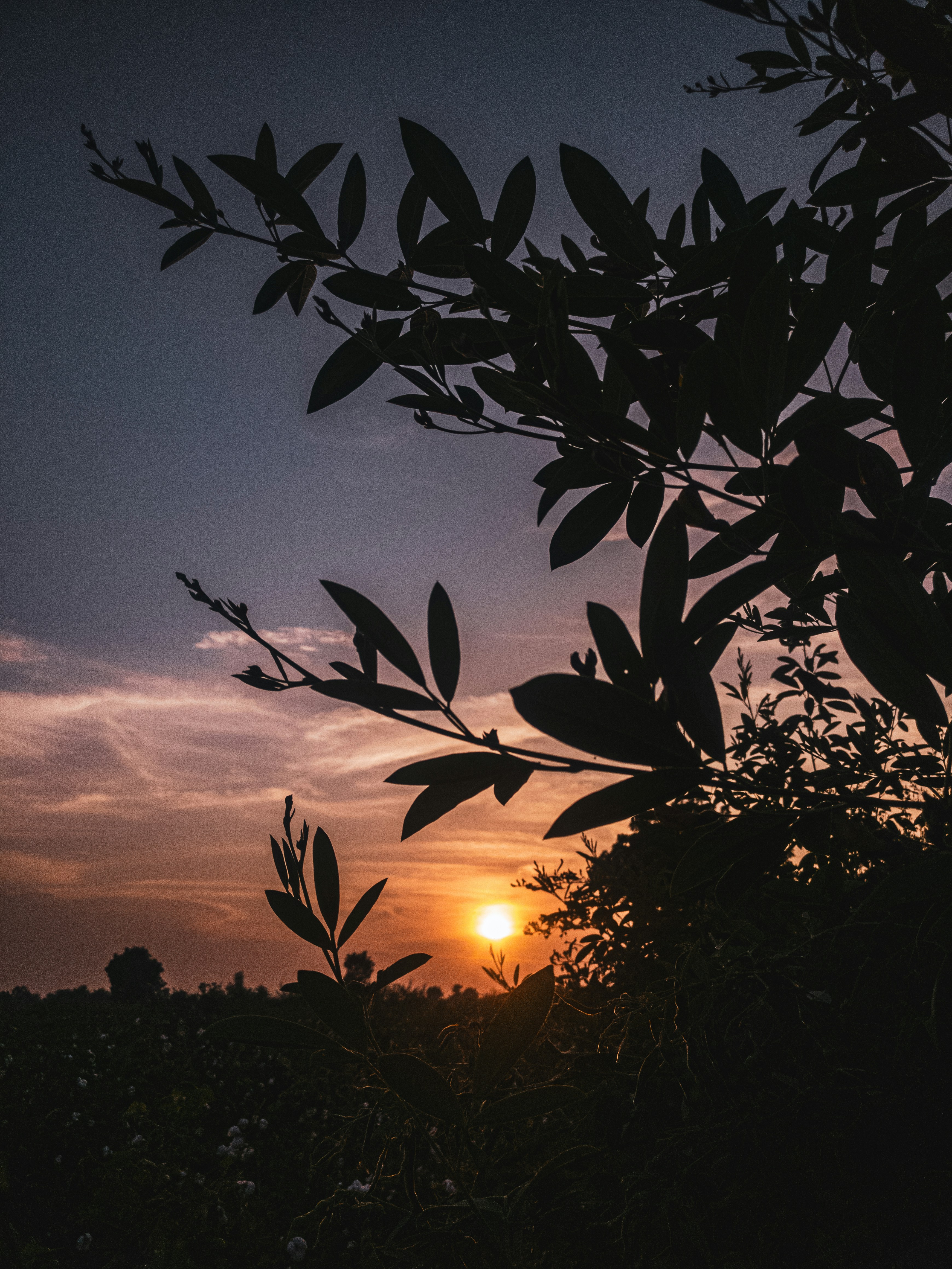 Photo by kishan__upadhyay