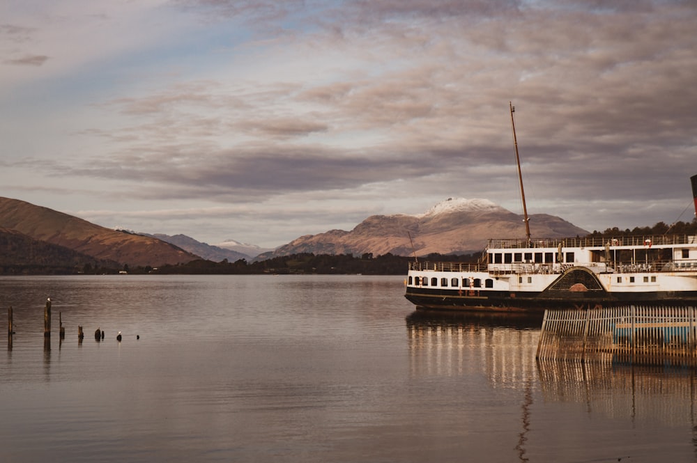 white cruise ship on body of water