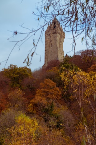 The Wallace Monument behind the autumn trees