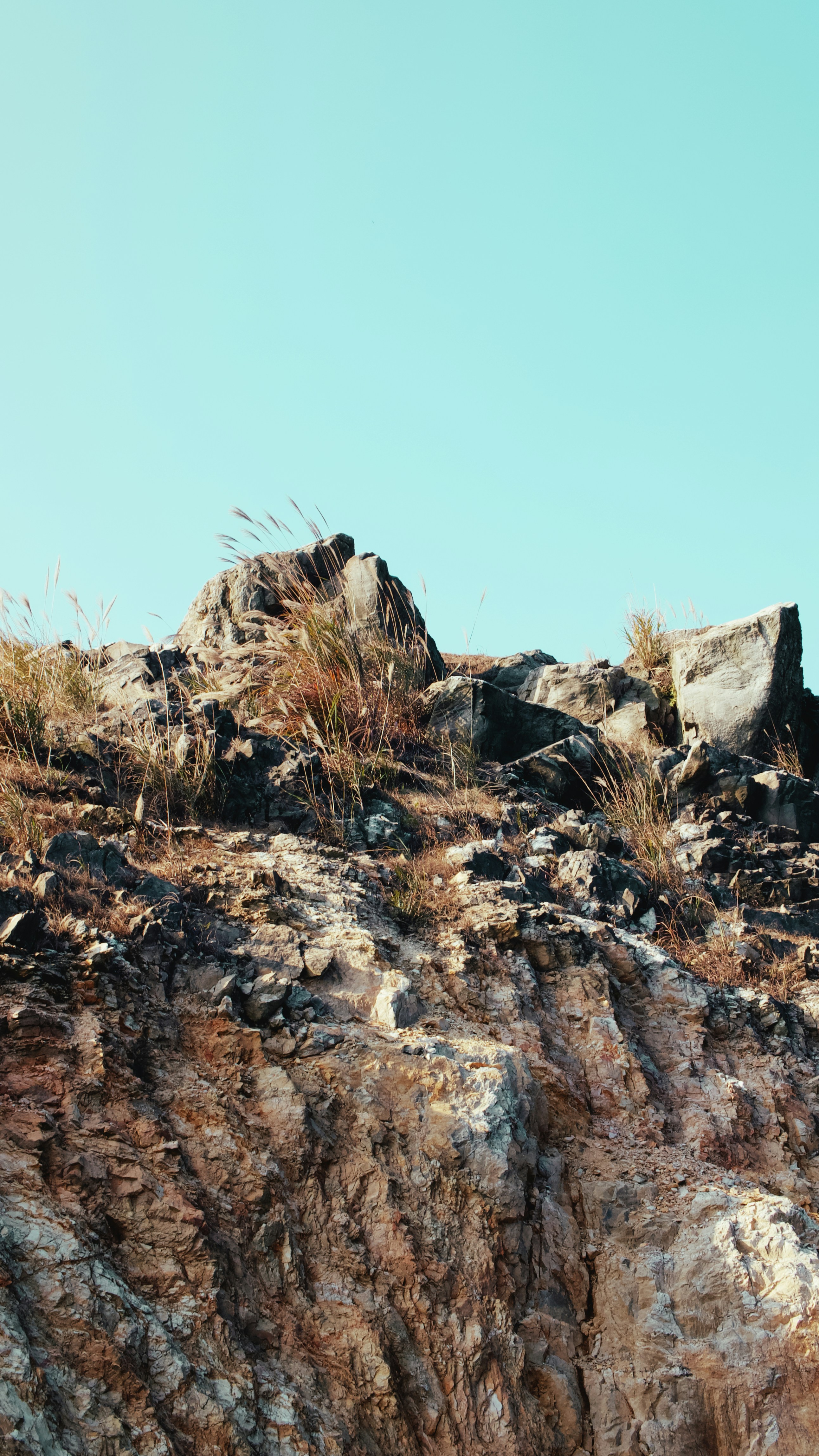 Photo by xiexianghua