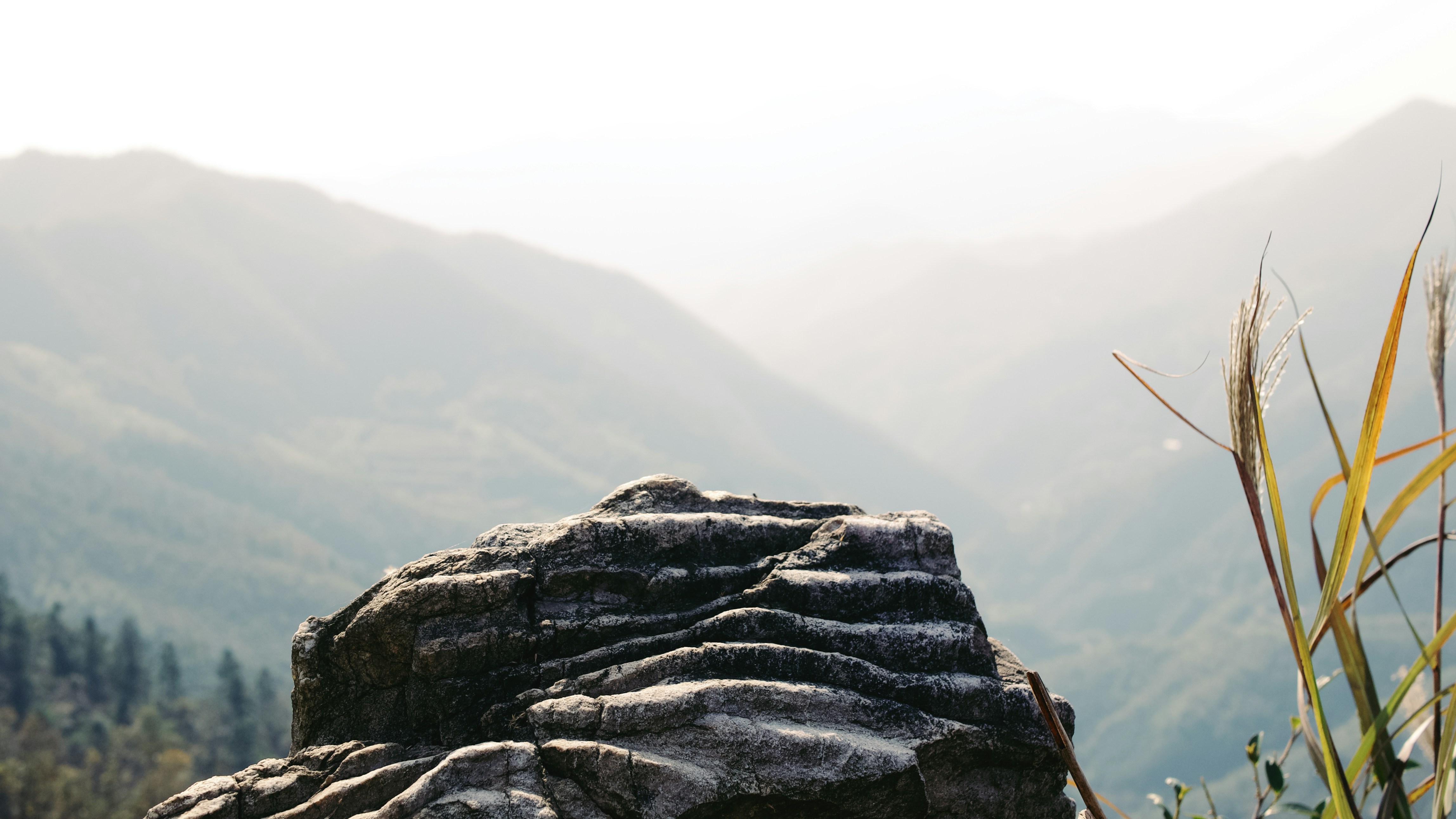 Photo by xiexianghua