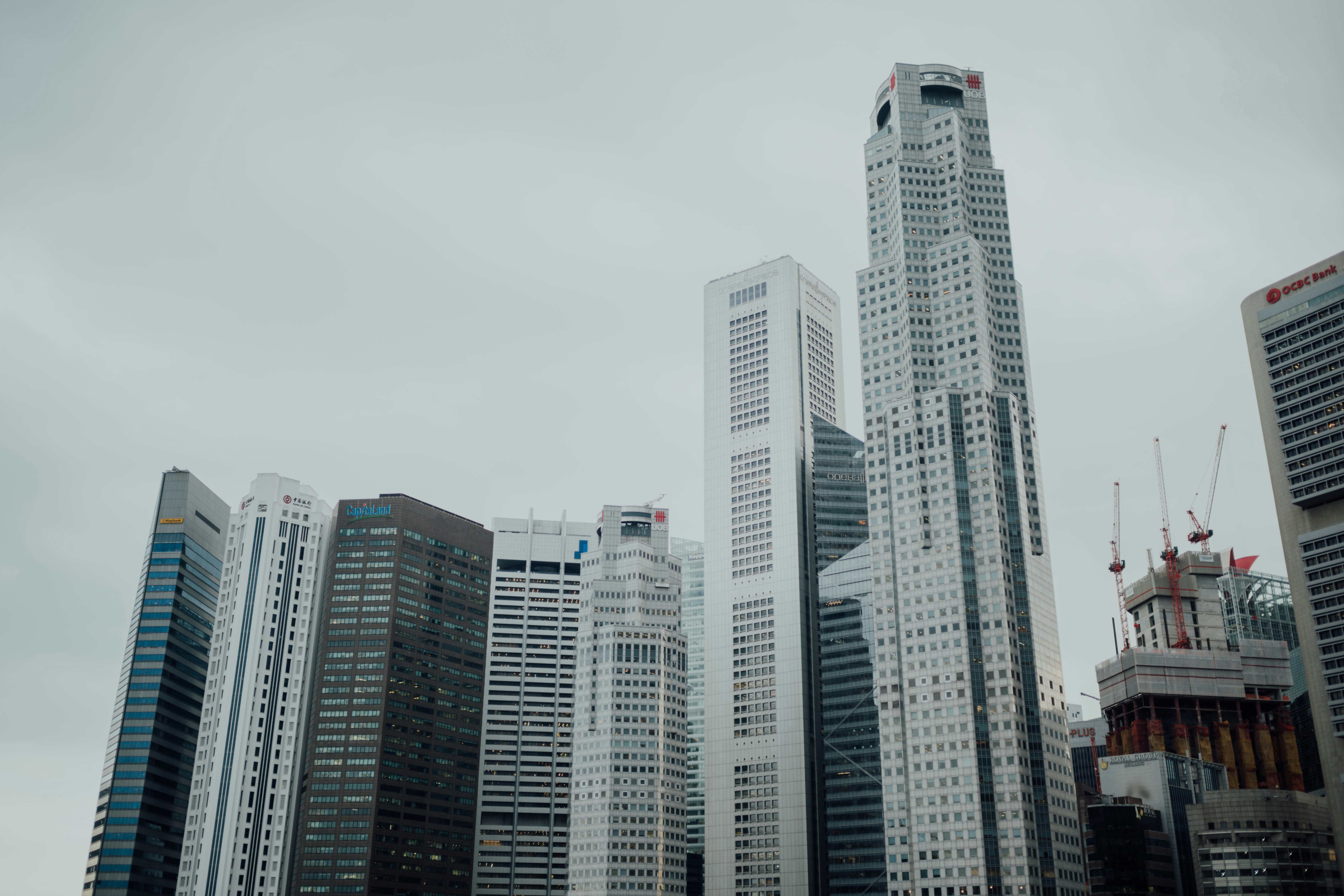 Photo by chuttersnap