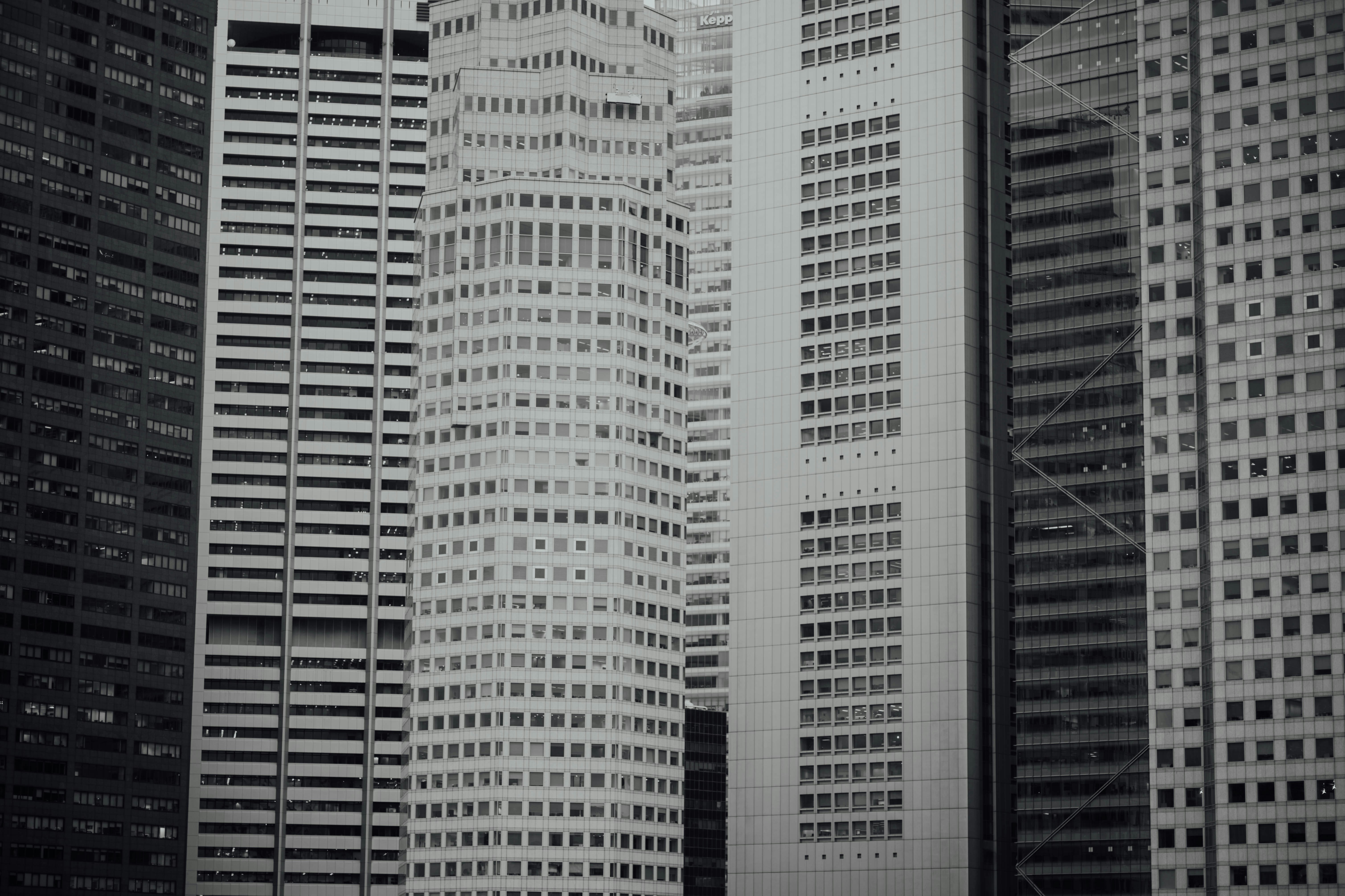 Photo by chuttersnap