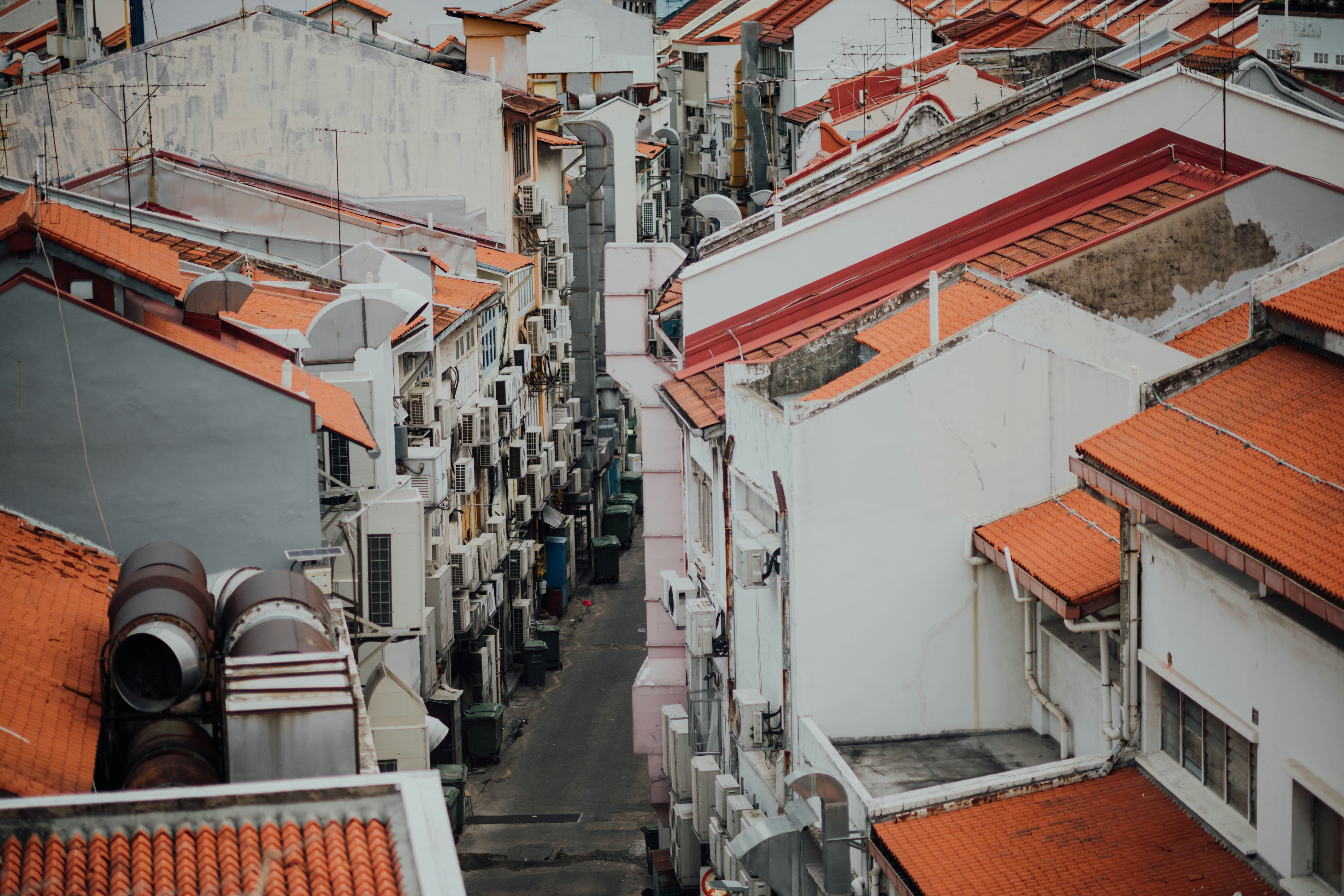 Photo by chuttersnap