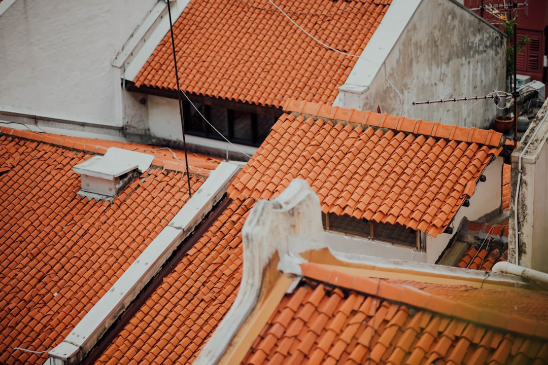 shallow focus photo of roof