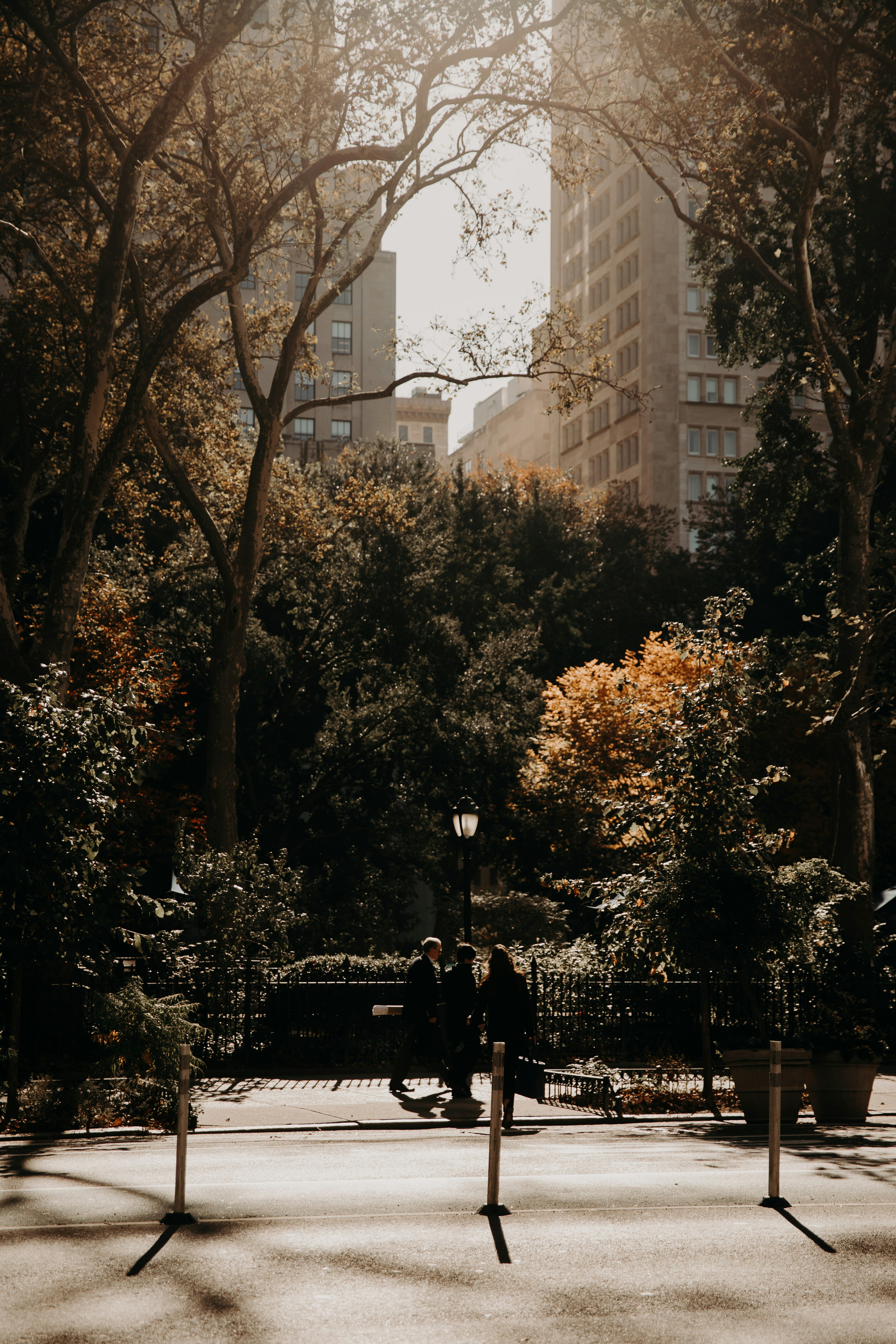 Photo by patresinger
