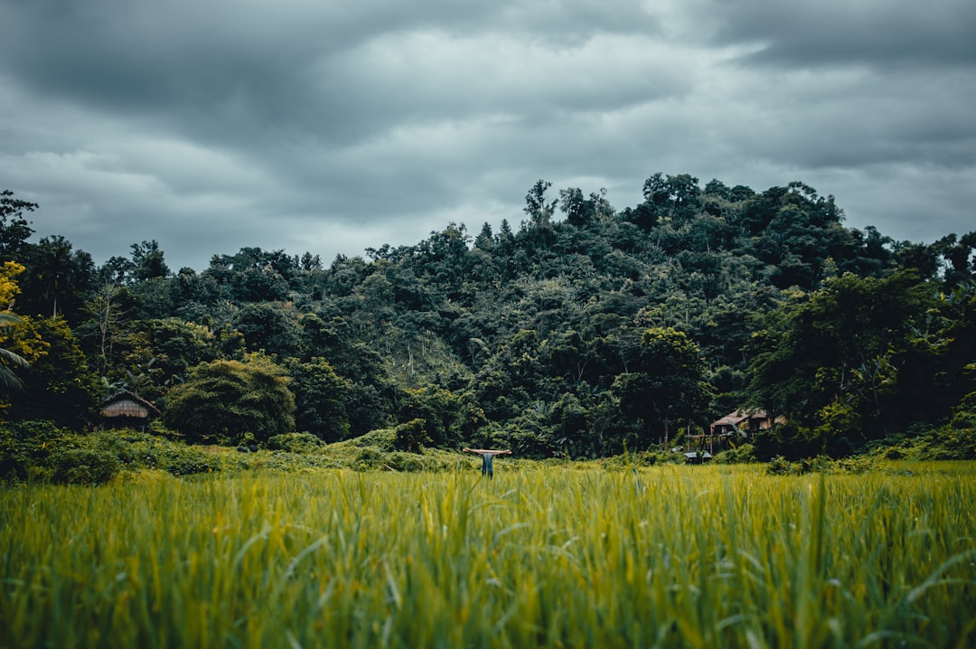 Natural landscape photo spot Chittagong Bangladesh