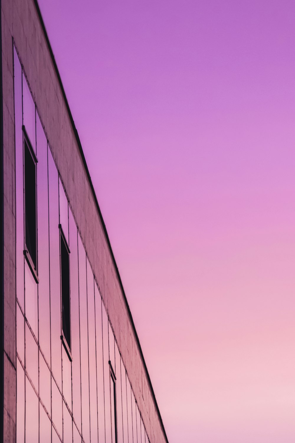 low-angle photography of a building under a purple sky