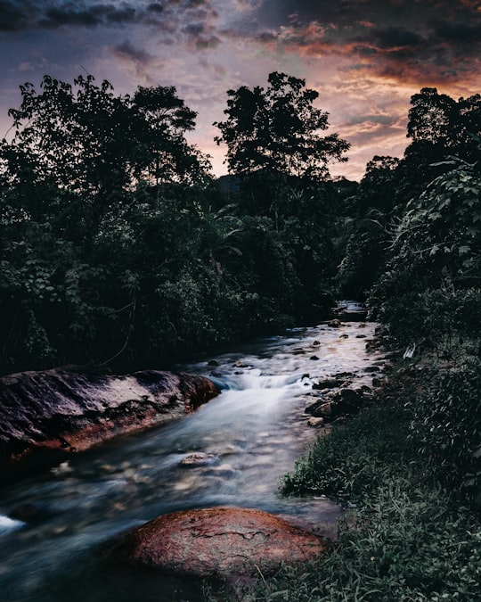 river between trees in Singkawang Indonesia